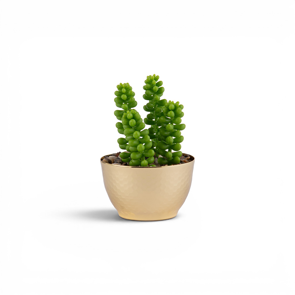 Potted Wheat Spike (H12cm)