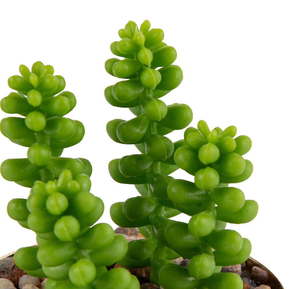 Potted Wheat Spike (H12cm) - Image 2