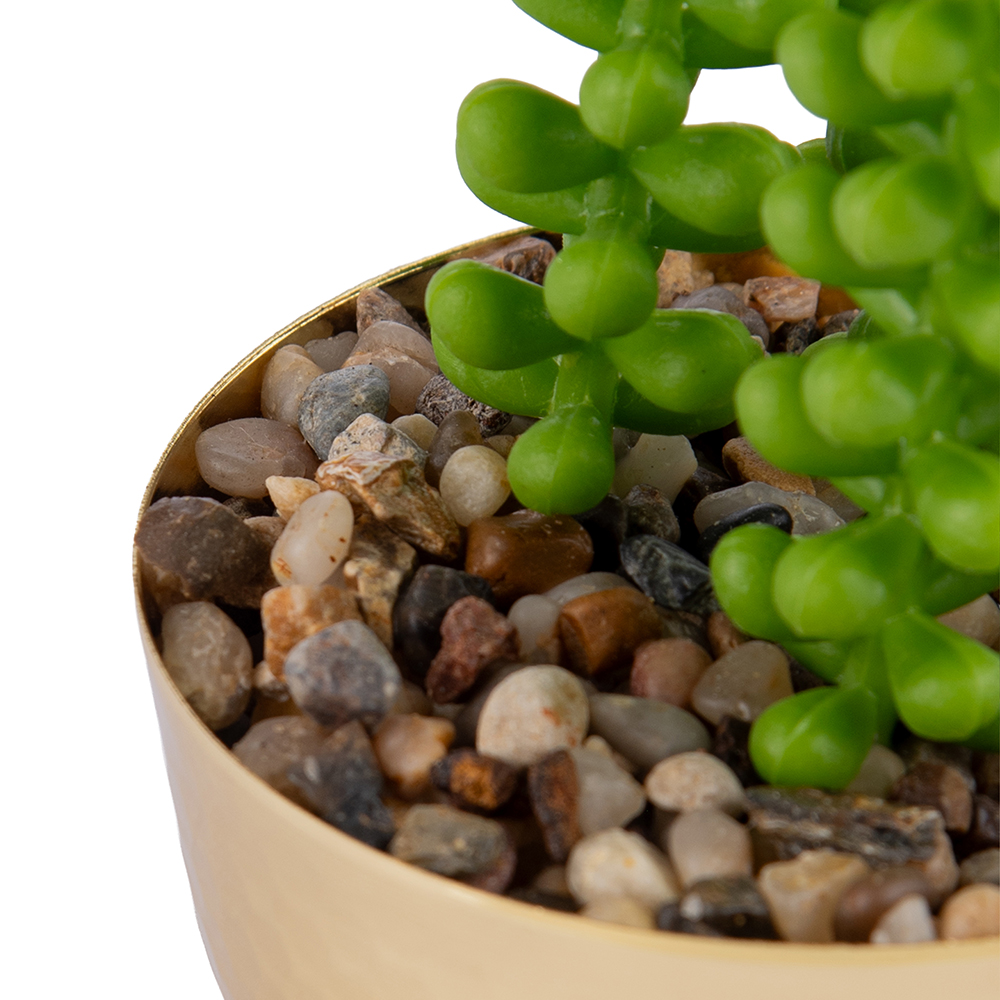 Potted Wheat Spike (H12cm) - Image 3