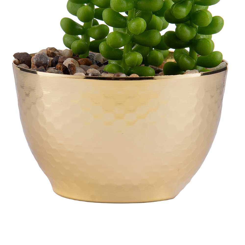 Potted Wheat Spike (H12cm) - Image 4