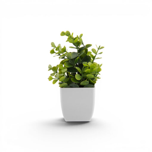 Potted Eucalyptus (H18cm)