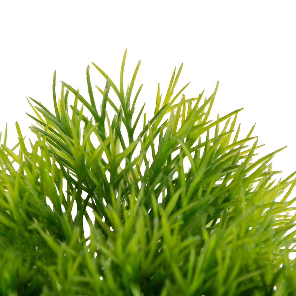 Potted Pine Tree (H25cm) - Image 2