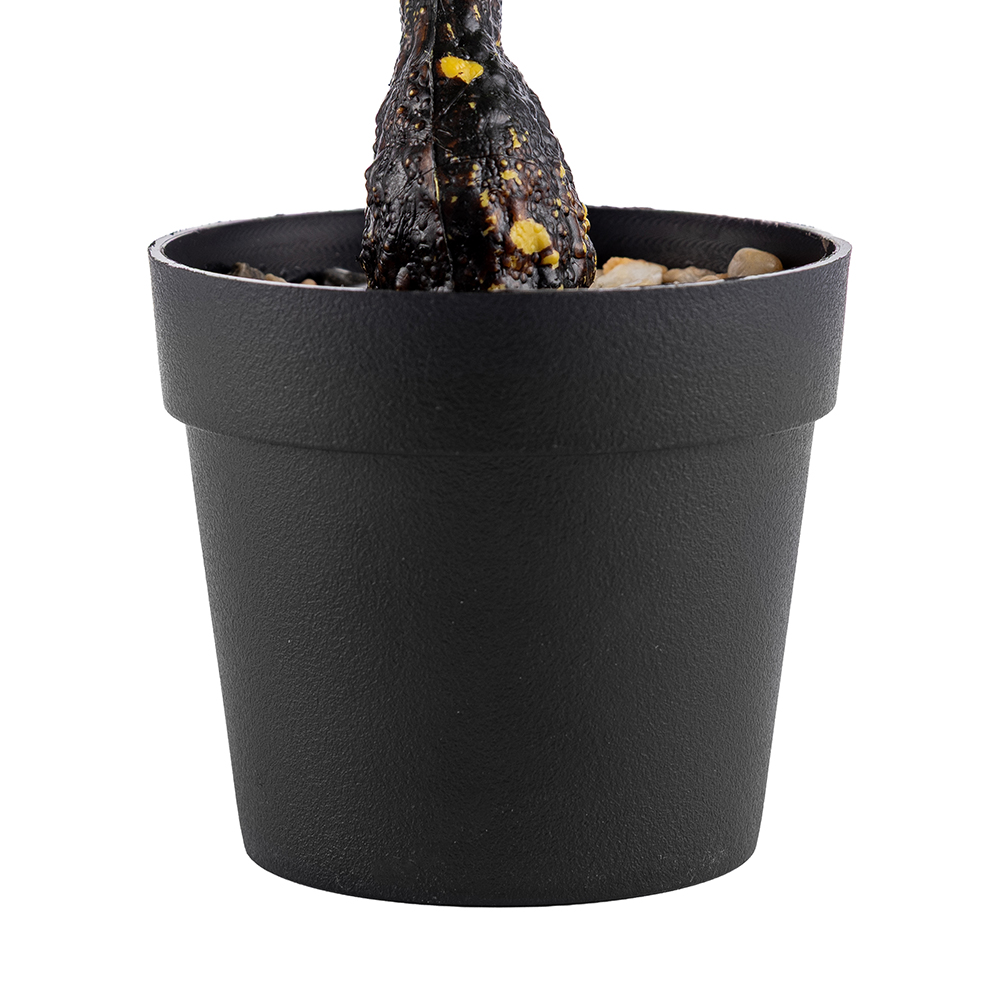 Potted Pine Tree (H25cm) - Image 5