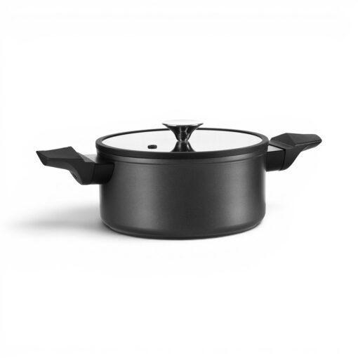 Casserole with Lid (Dia. 24cm)