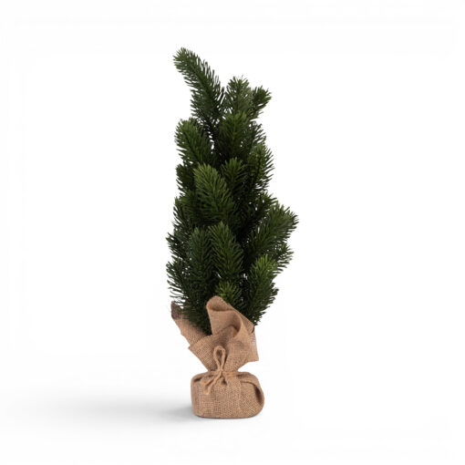 Pine in Burlap (H46cm)