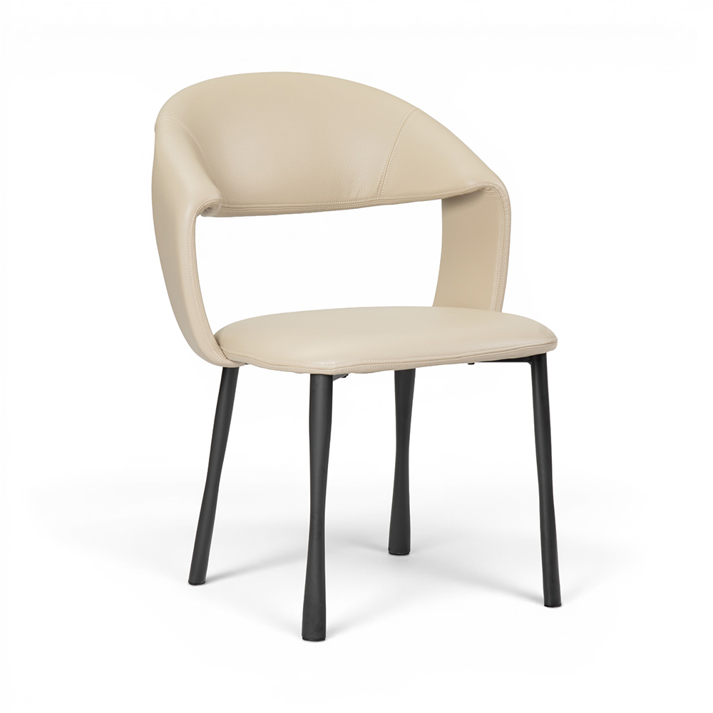 Moriah Dining Chair - Image 13
