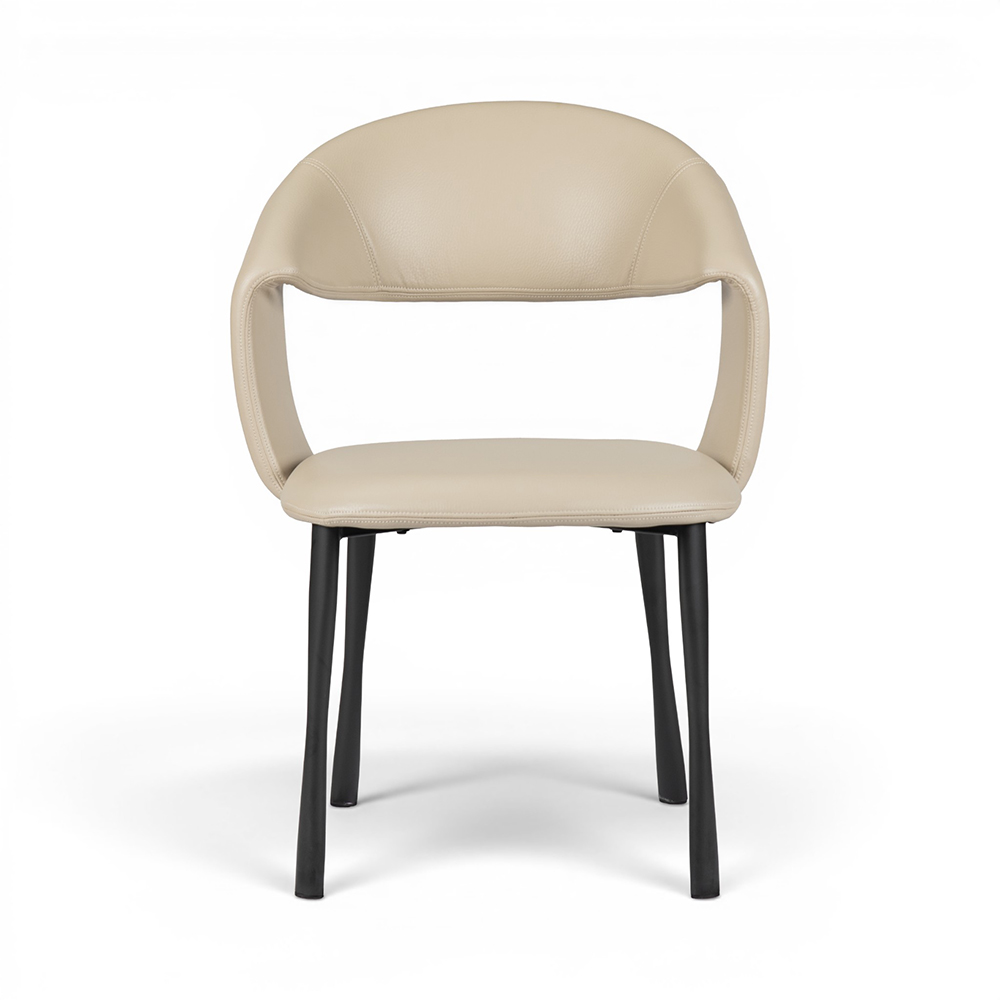 Moriah Dining Chair - Image 14
